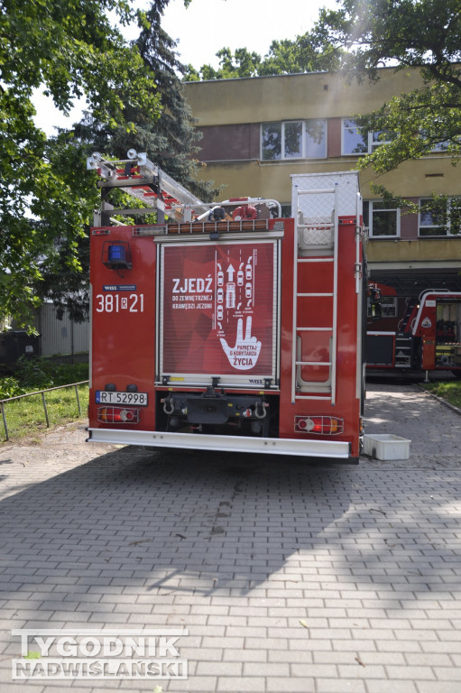 Usuwanie skutków burzy w Tarnobrzegu