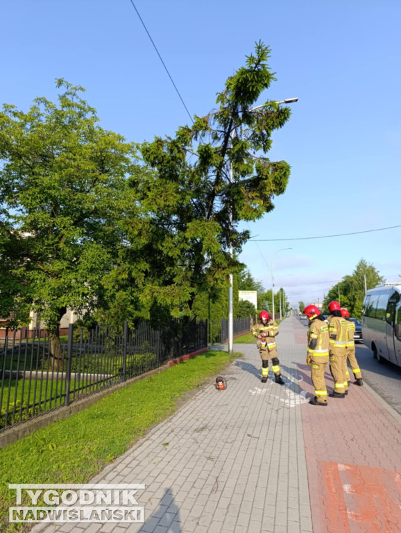 Usuwanie skutków burzy w Tarnobrzegu
