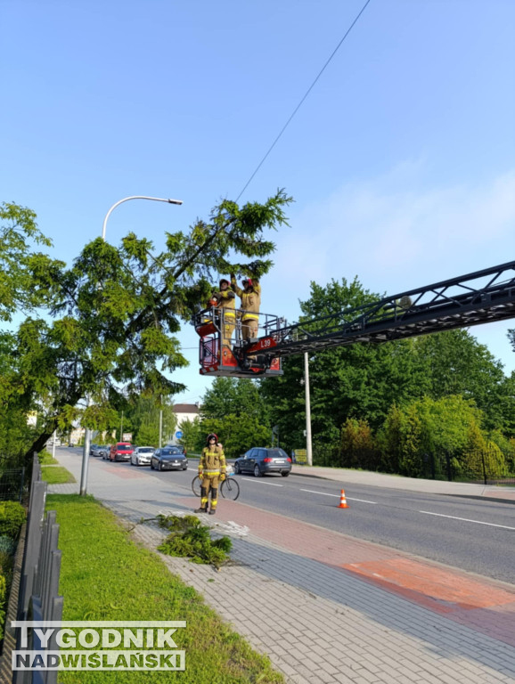 Usuwanie skutków burzy w Tarnobrzegu