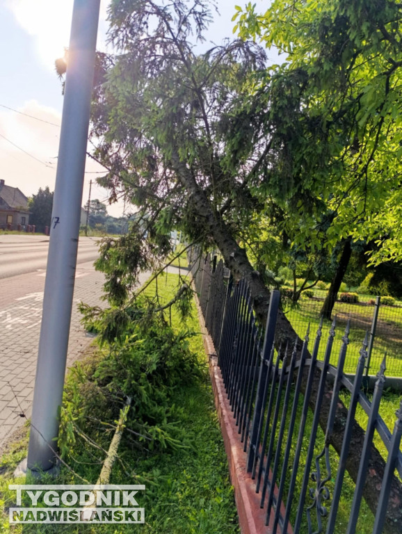 Usuwanie skutków burzy w Tarnobrzegu