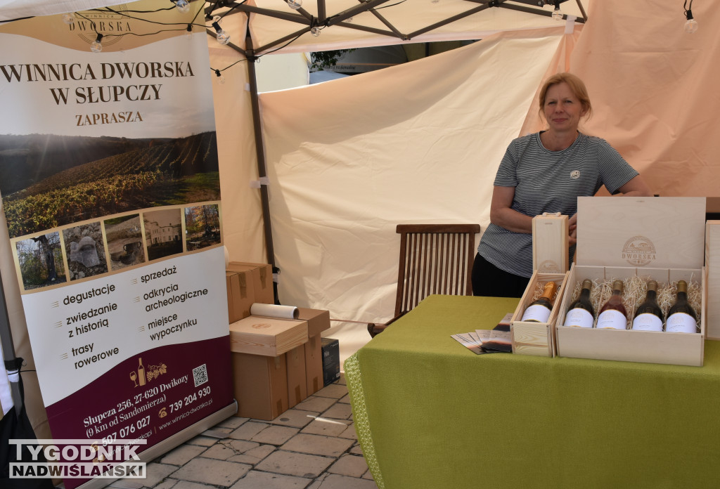 Festiwal WinaSera w Sandomierzu