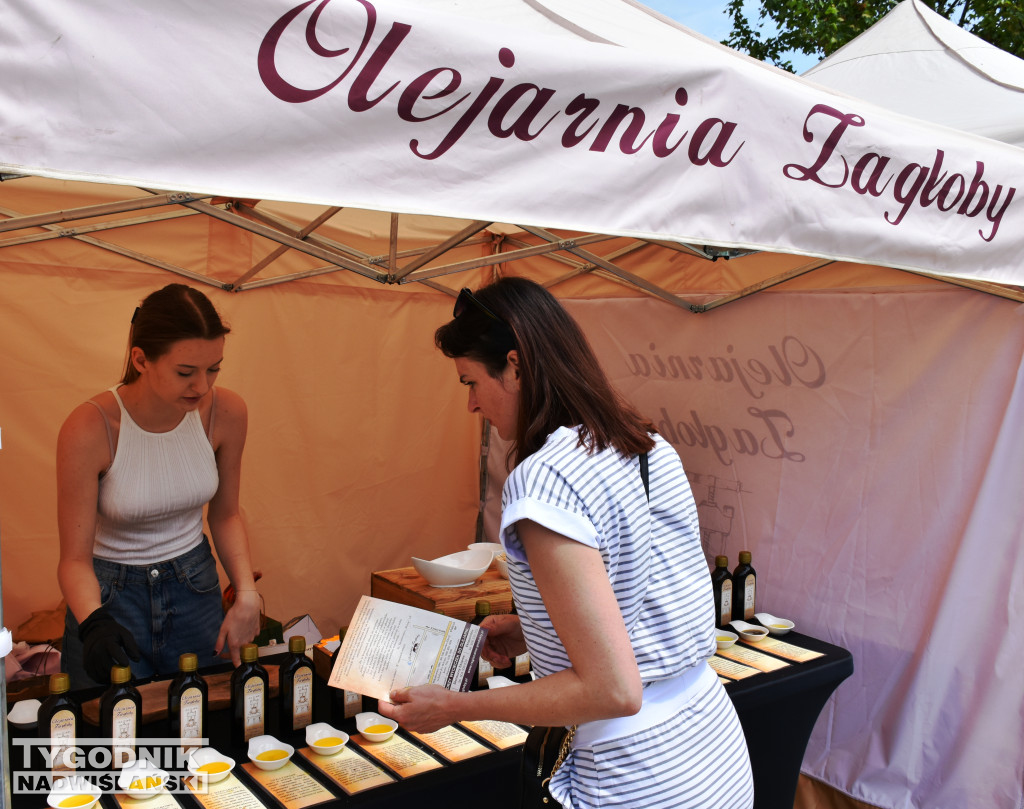 Festiwal WinaSera w Sandomierzu
