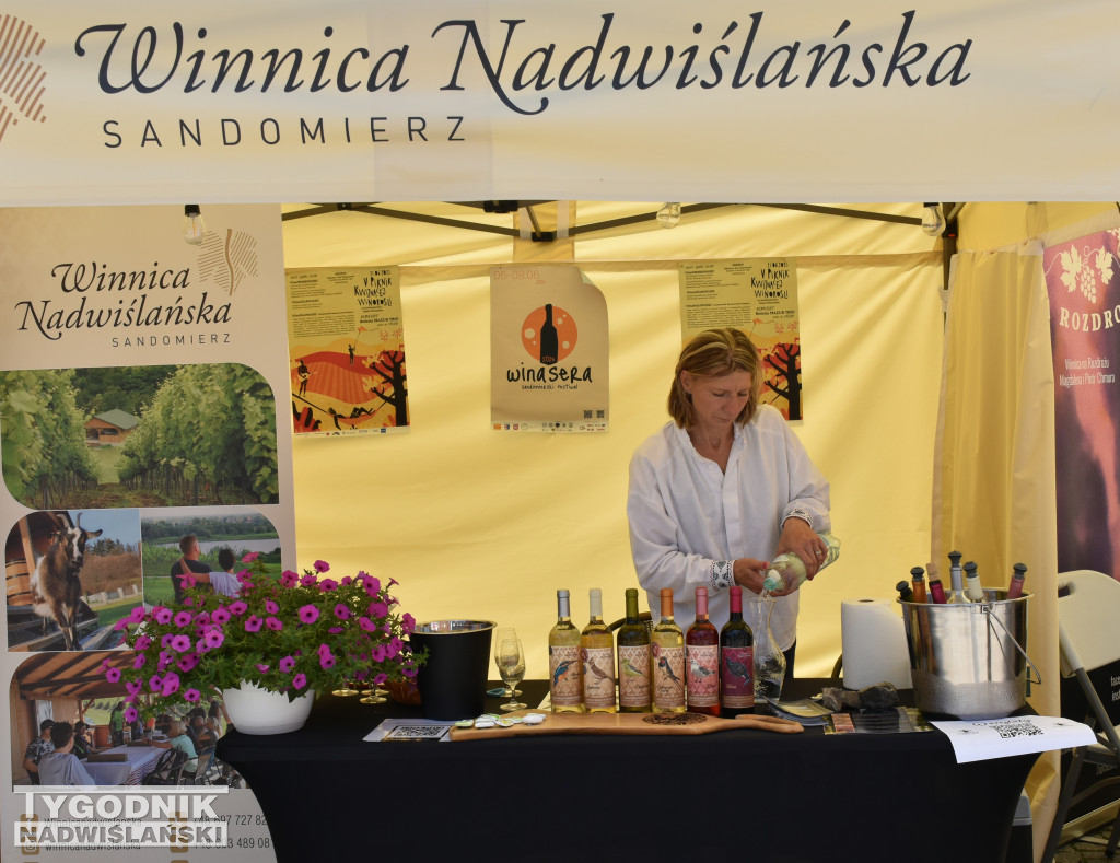 Festiwal WinaSera w Sandomierzu