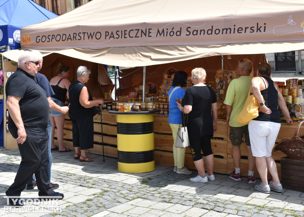 Festiwal WinaSera w Sandomierzu