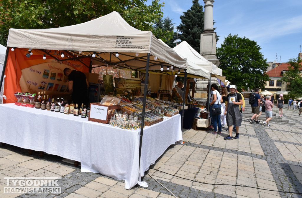 Festiwal WinaSera w Sandomierzu