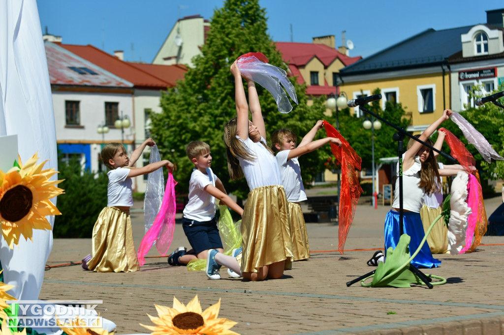 Marsz dla Życia i Rodziny Tarnobrzeg 2025
