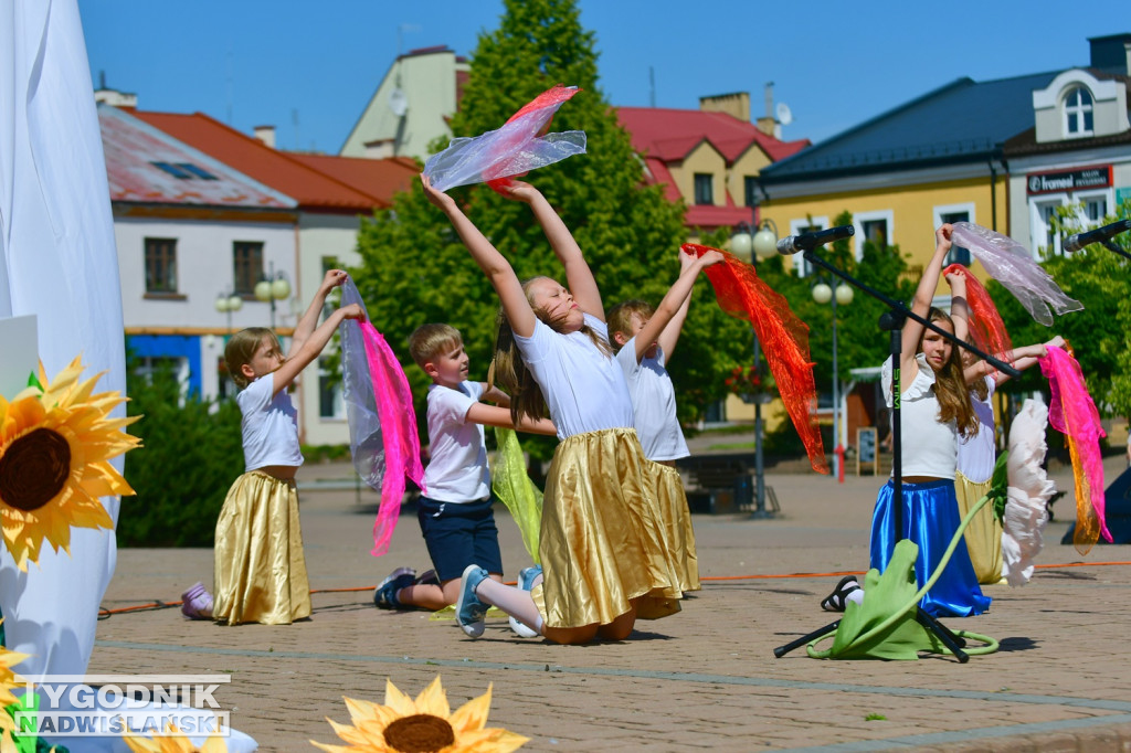 Marsz dla Życia i Rodziny Tarnobrzeg 2025