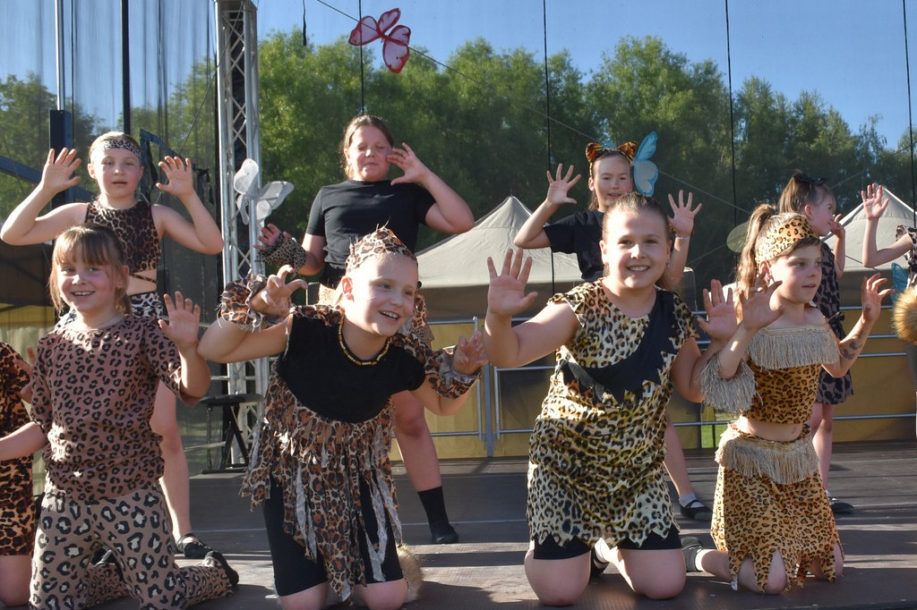 Koncert formacji artystycznych MGOK Klimontów