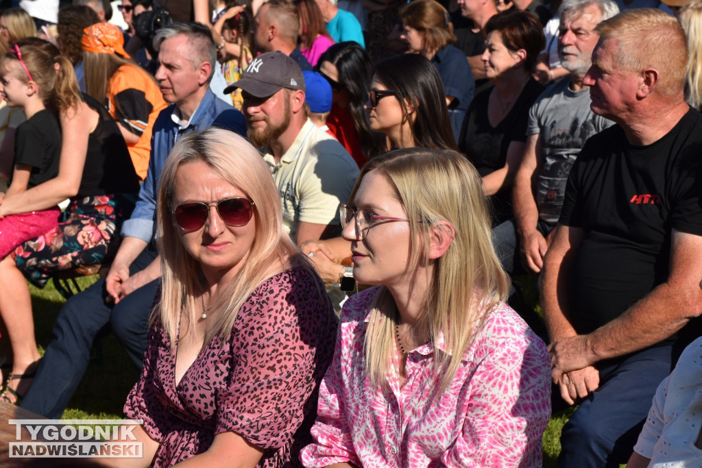 Koncert formacji artystycznych MGOK Klimontów