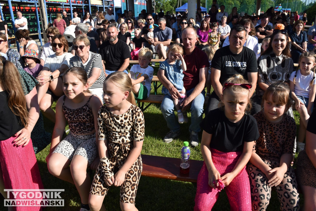Koncert formacji artystycznych MGOK Klimontów