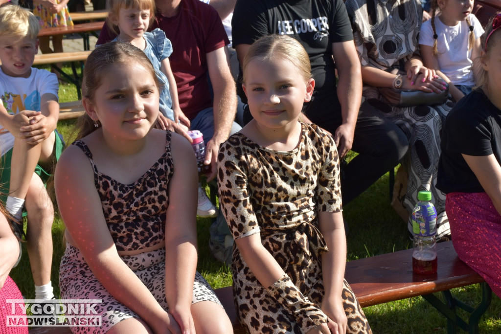 Koncert formacji artystycznych MGOK Klimontów