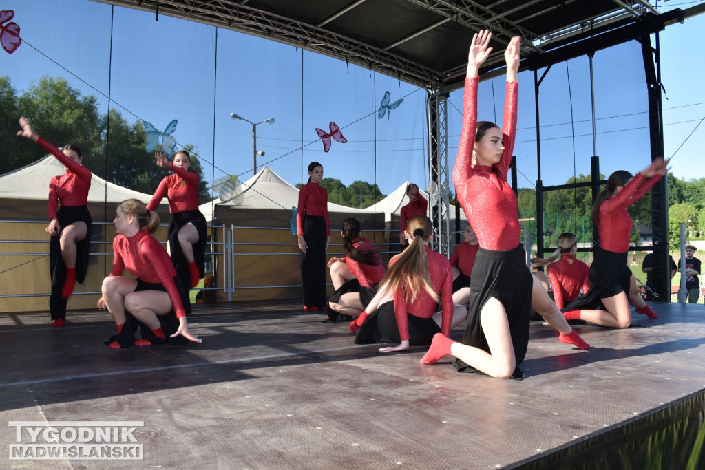 Koncert formacji artystycznych MGOK Klimontów