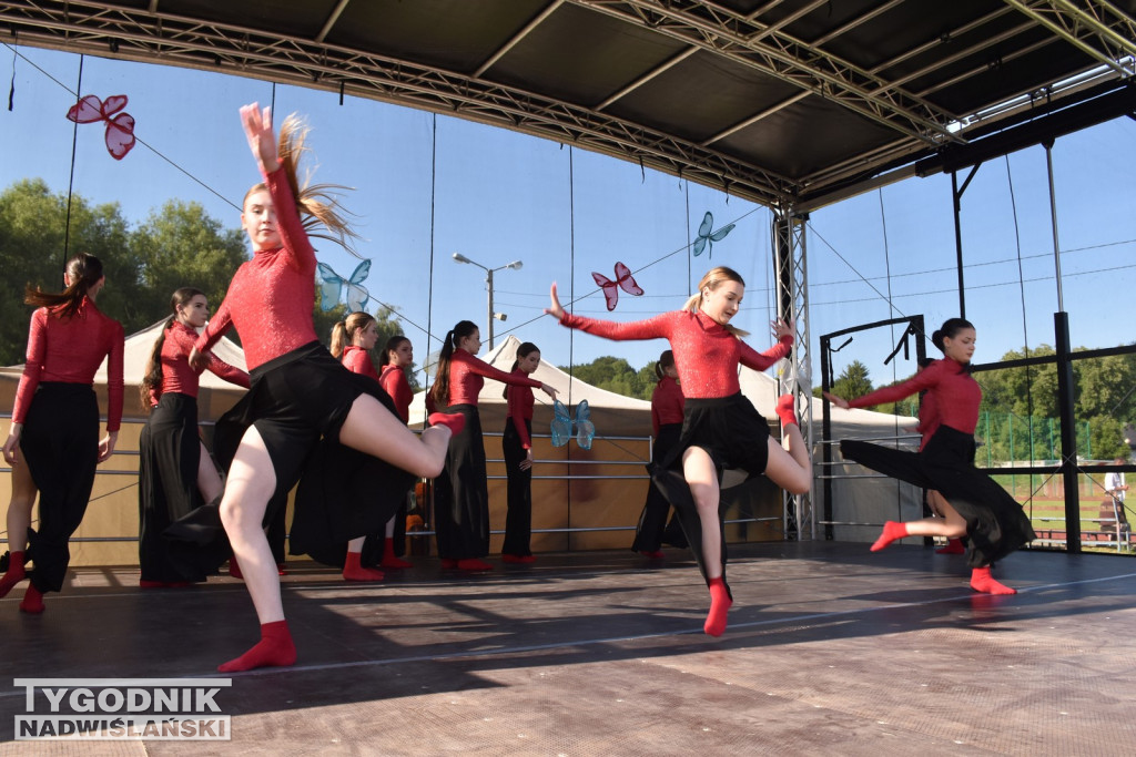 Koncert formacji artystycznych MGOK Klimontów