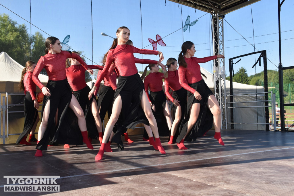 Koncert formacji artystycznych MGOK Klimontów