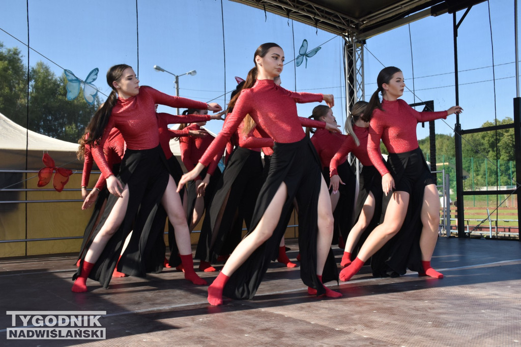 Koncert formacji artystycznych MGOK Klimontów