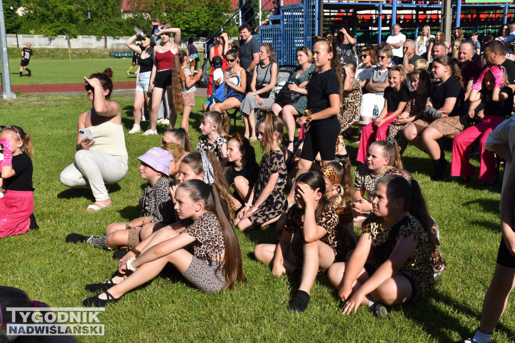 Koncert formacji artystycznych MGOK Klimontów