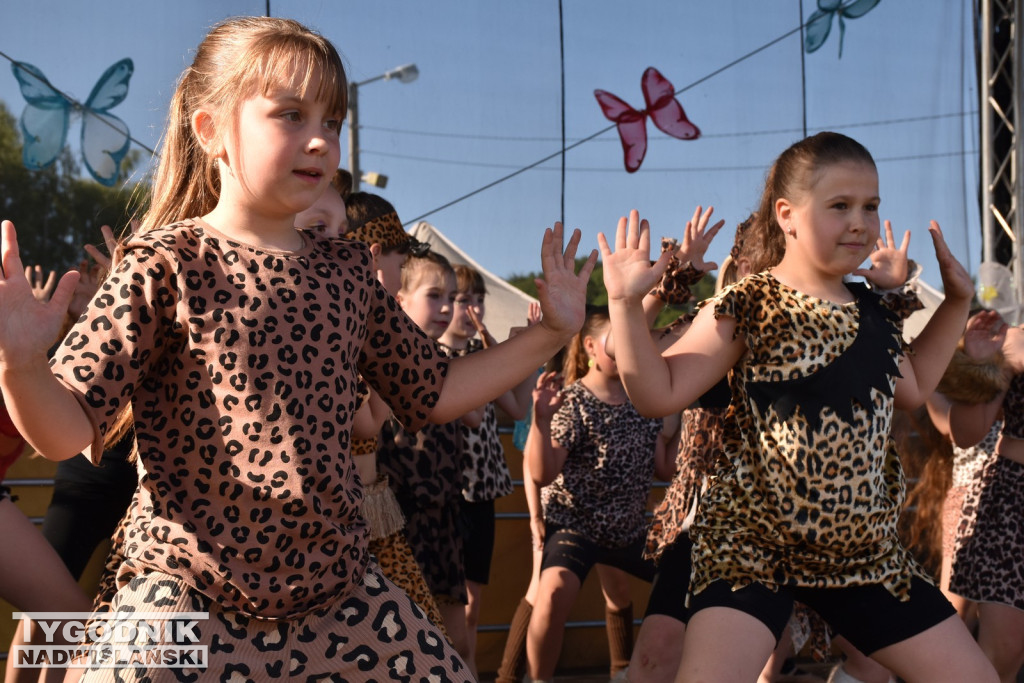 Koncert formacji artystycznych MGOK Klimontów