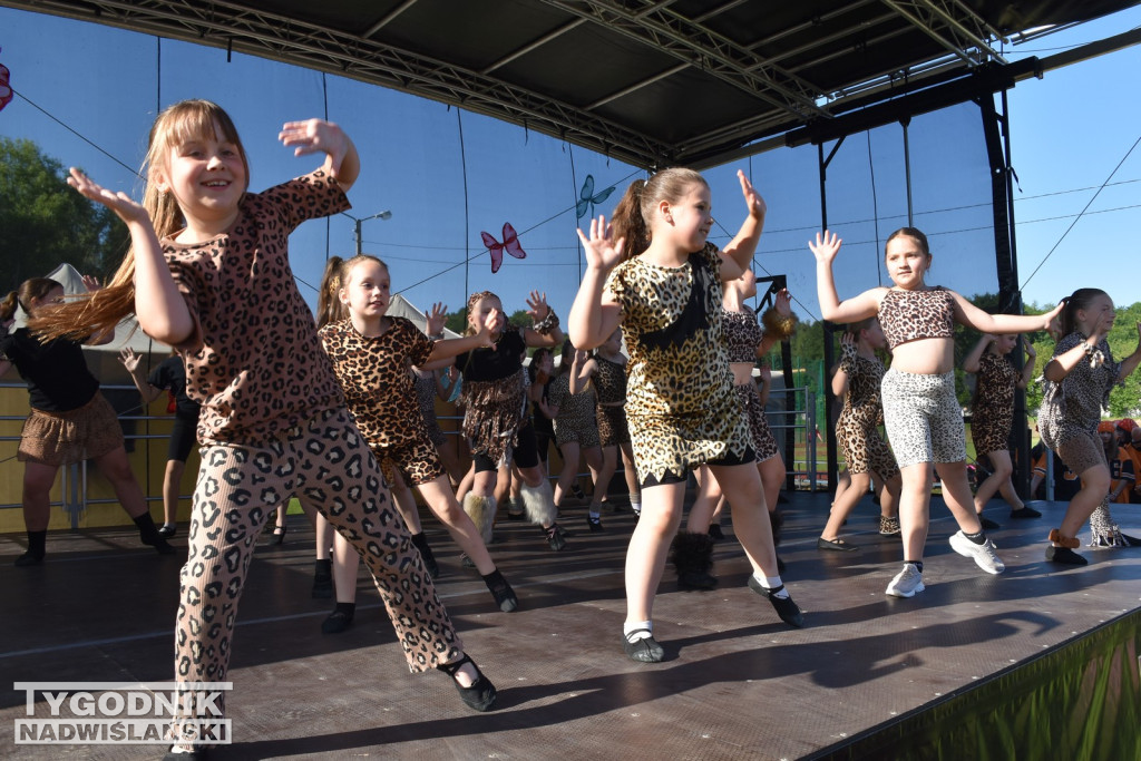 Koncert formacji artystycznych MGOK Klimontów