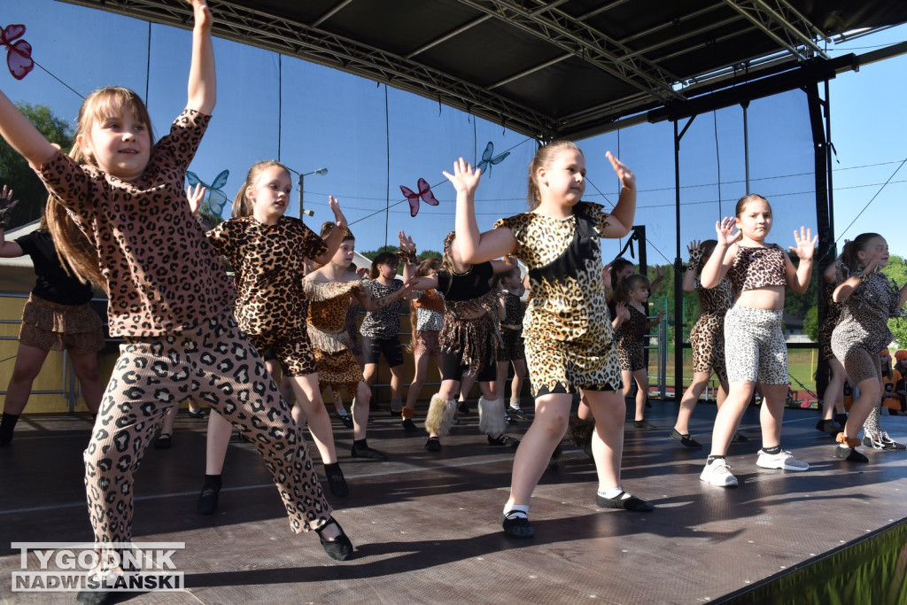 Koncert formacji artystycznych MGOK Klimontów