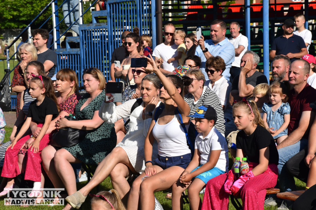 Koncert formacji artystycznych MGOK Klimontów