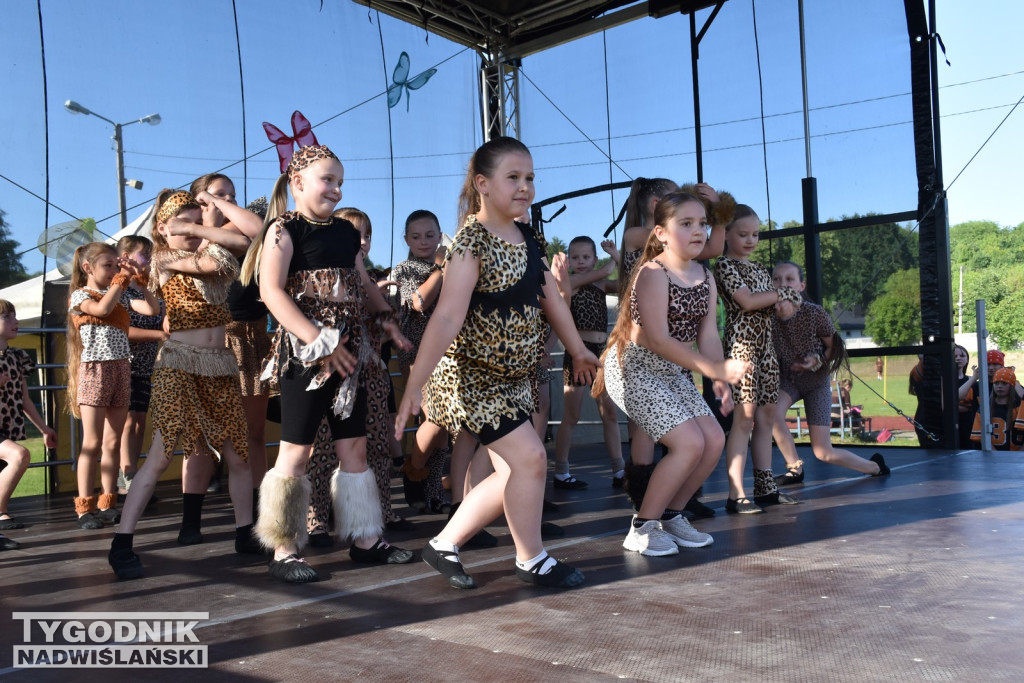 Koncert formacji artystycznych MGOK Klimontów
