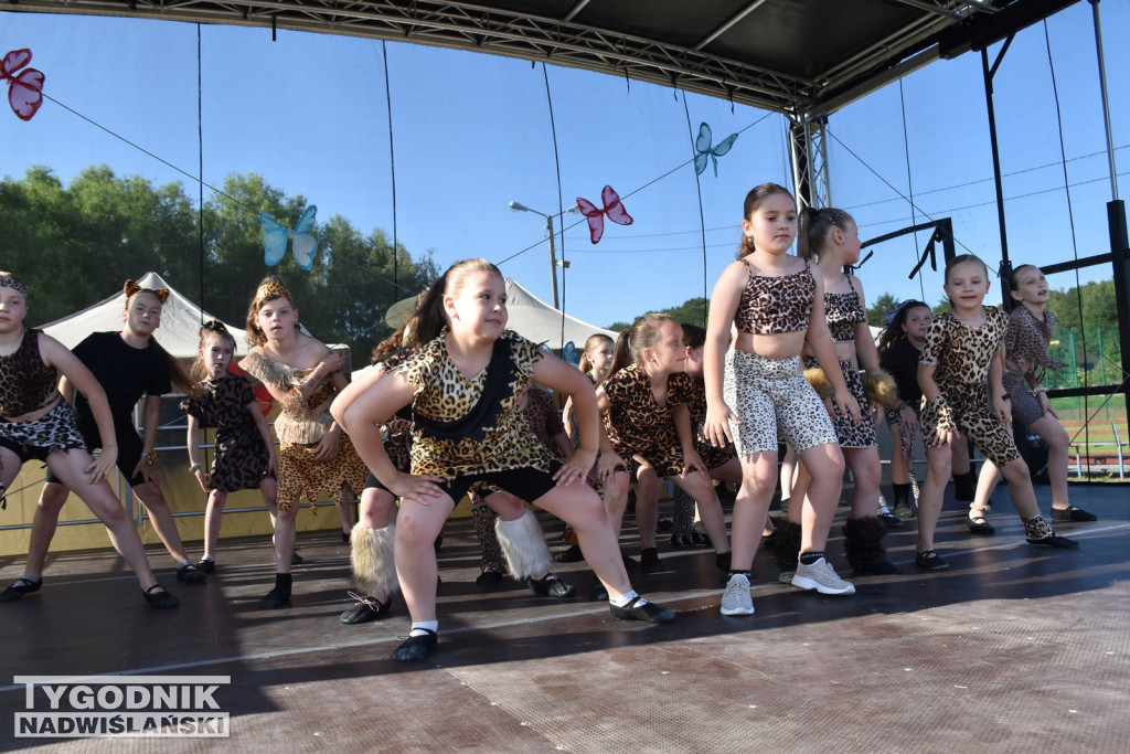 Koncert formacji artystycznych MGOK Klimontów