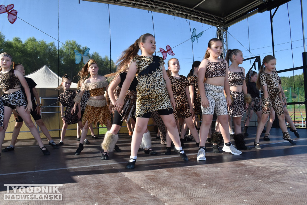 Koncert formacji artystycznych MGOK Klimontów