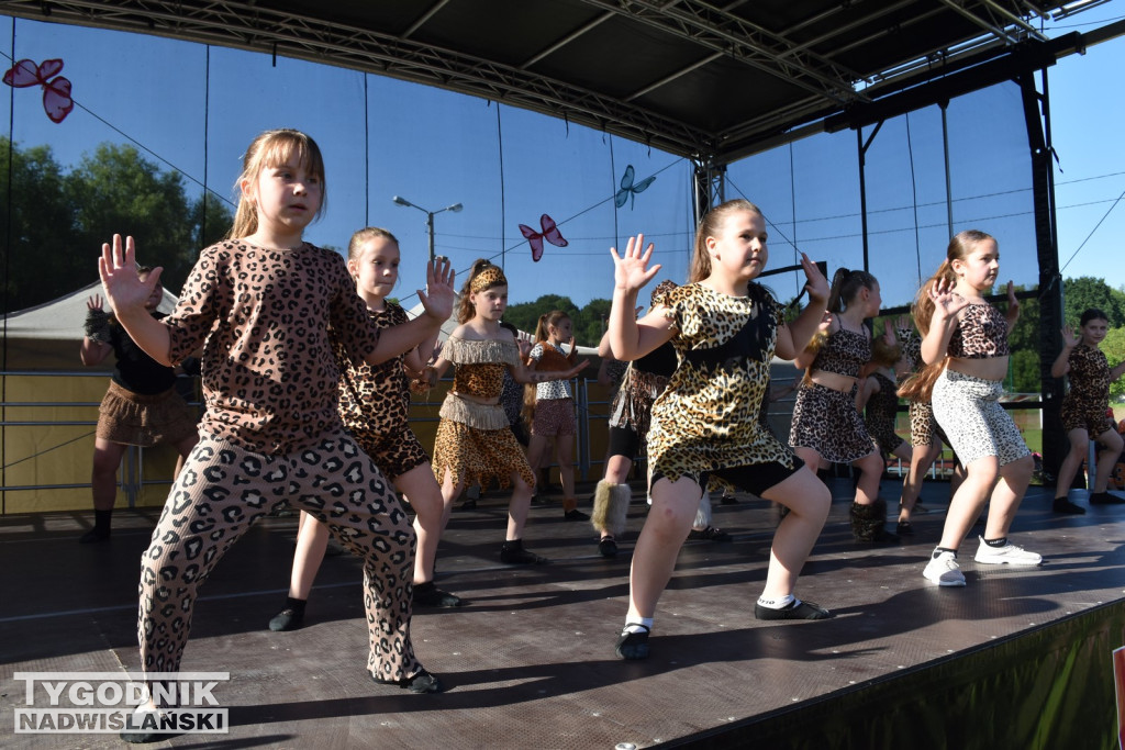 Koncert formacji artystycznych MGOK Klimontów