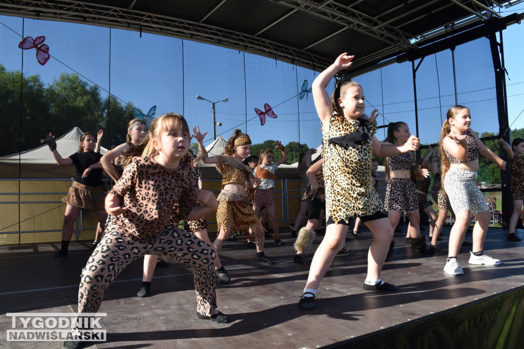 Koncert formacji artystycznych MGOK Klimontów