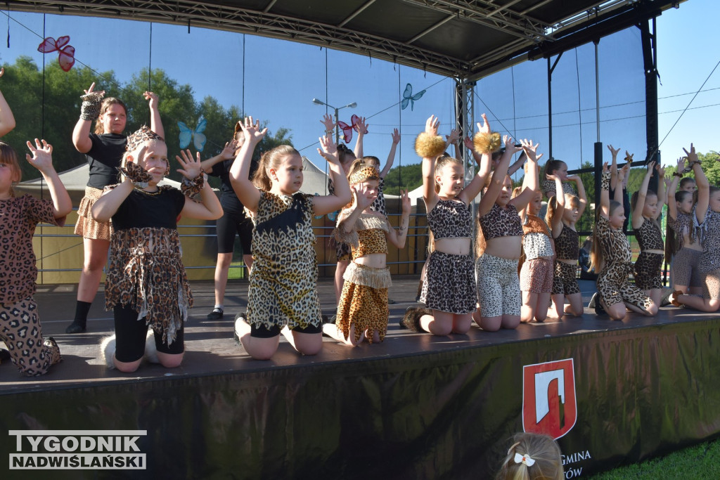 Koncert formacji artystycznych MGOK Klimontów