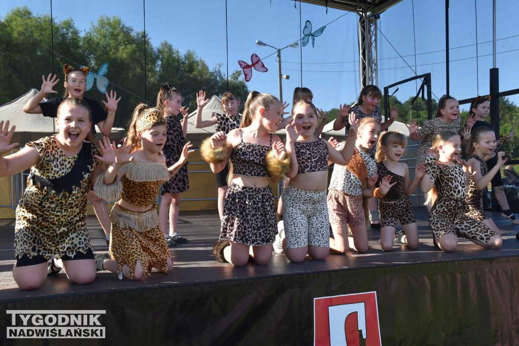 Koncert formacji artystycznych MGOK Klimontów