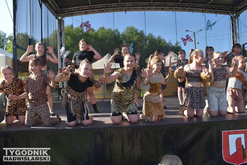 Koncert formacji artystycznych MGOK Klimontów