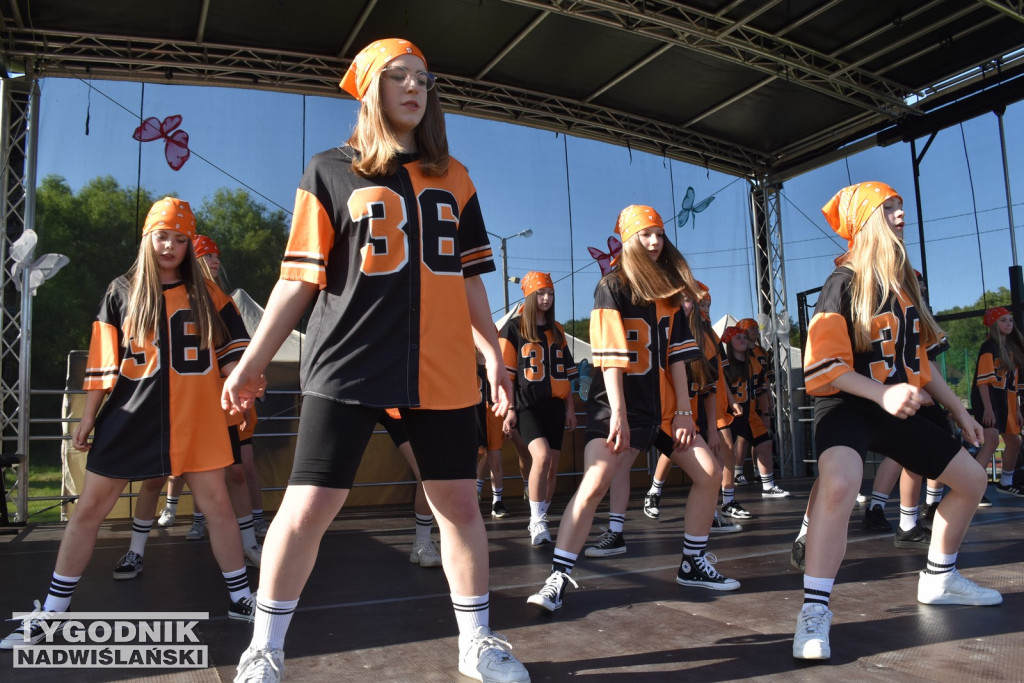Koncert formacji artystycznych MGOK Klimontów