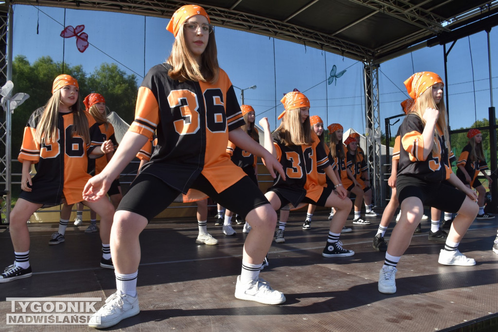 Koncert formacji artystycznych MGOK Klimontów