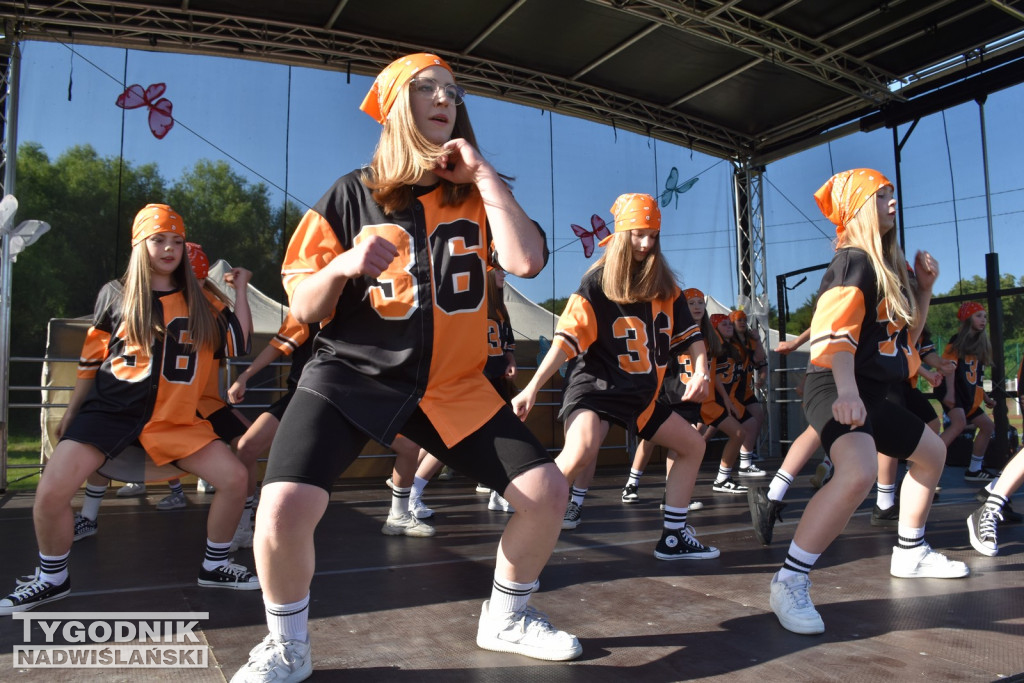 Koncert formacji artystycznych MGOK Klimontów