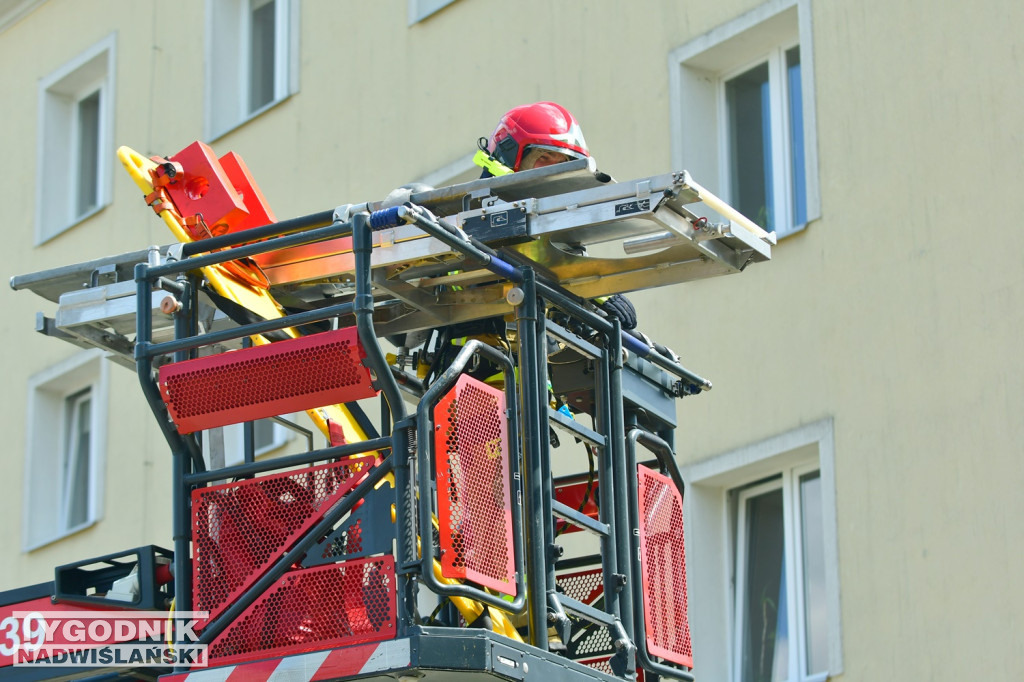 Ćwiczenia URZĄD 2025 w Tarnobrzegu