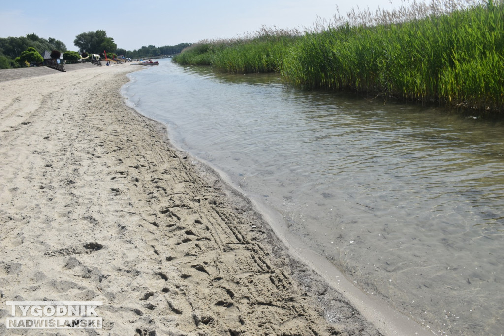 Nowy piasek nad Jeziorem Tarnobrzeskim