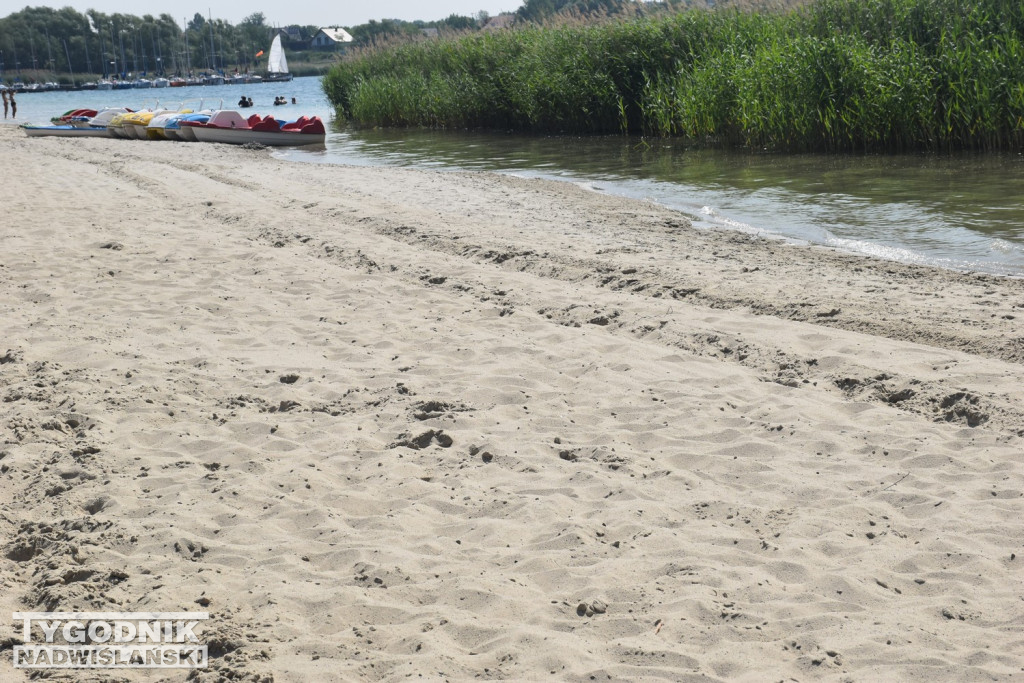 Nowy piasek nad Jeziorem Tarnobrzeskim