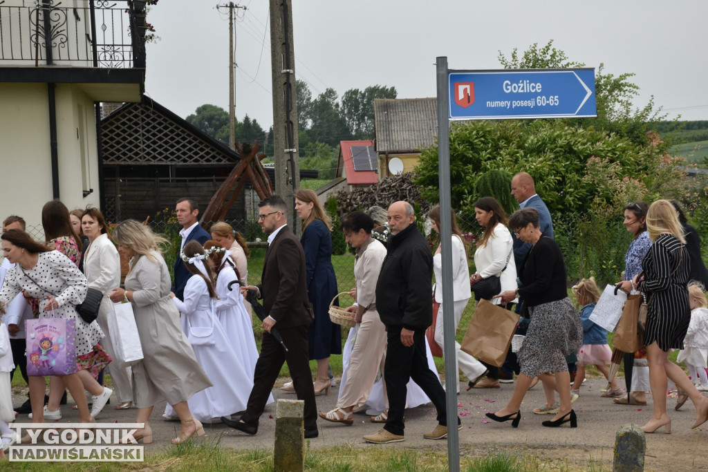 Boże Ciało 2025 w Goźlicach