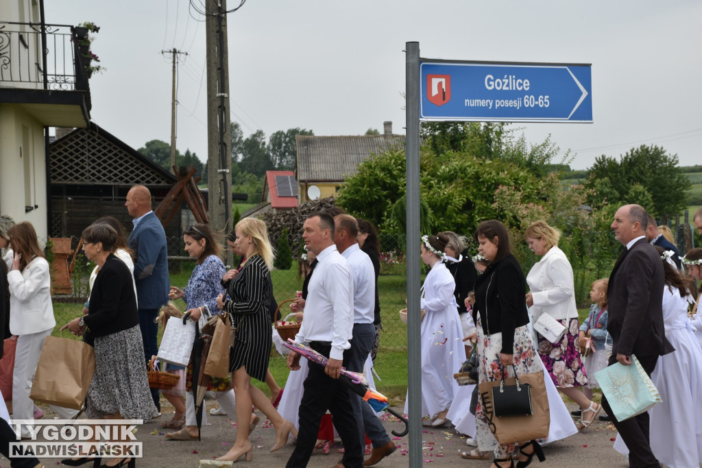 Boże Ciało 2025 w Goźlicach