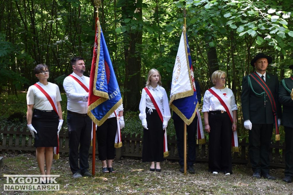 Uroczystości patriotyczne w Górach Wysokich