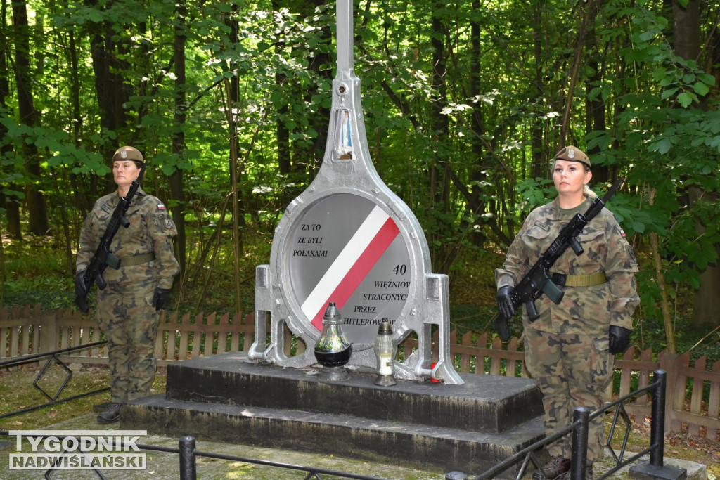 Uroczystości patriotyczne w Górach Wysokich