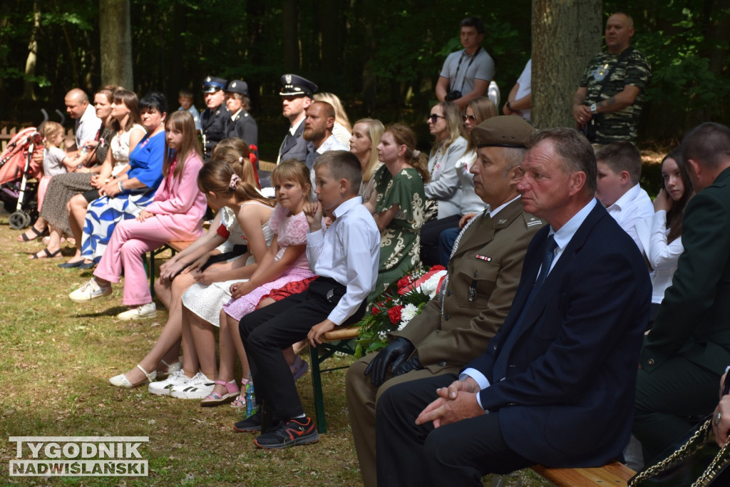 Uroczystości patriotyczne w Górach Wysokich