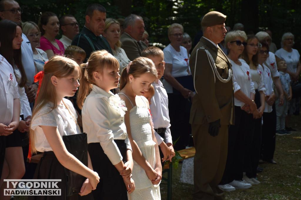 Uroczystości patriotyczne w Górach Wysokich