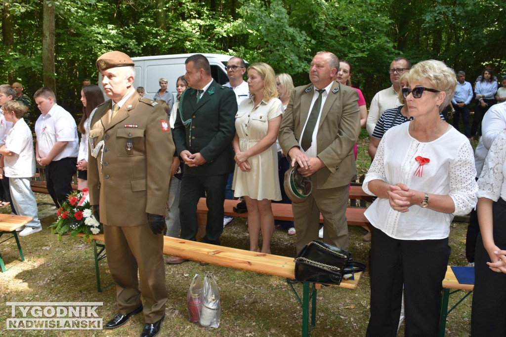 Uroczystości patriotyczne w Górach Wysokich