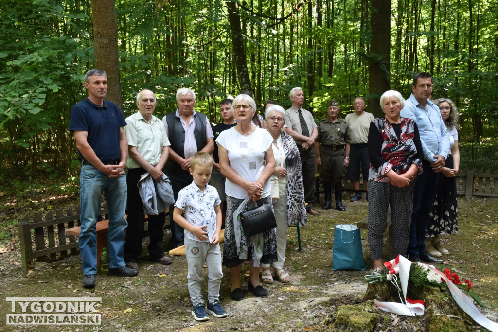 Uroczystości patriotyczne w Górach Wysokich