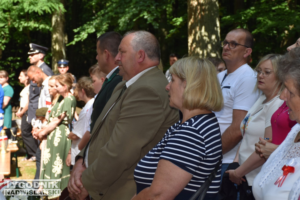 Uroczystości patriotyczne w Górach Wysokich