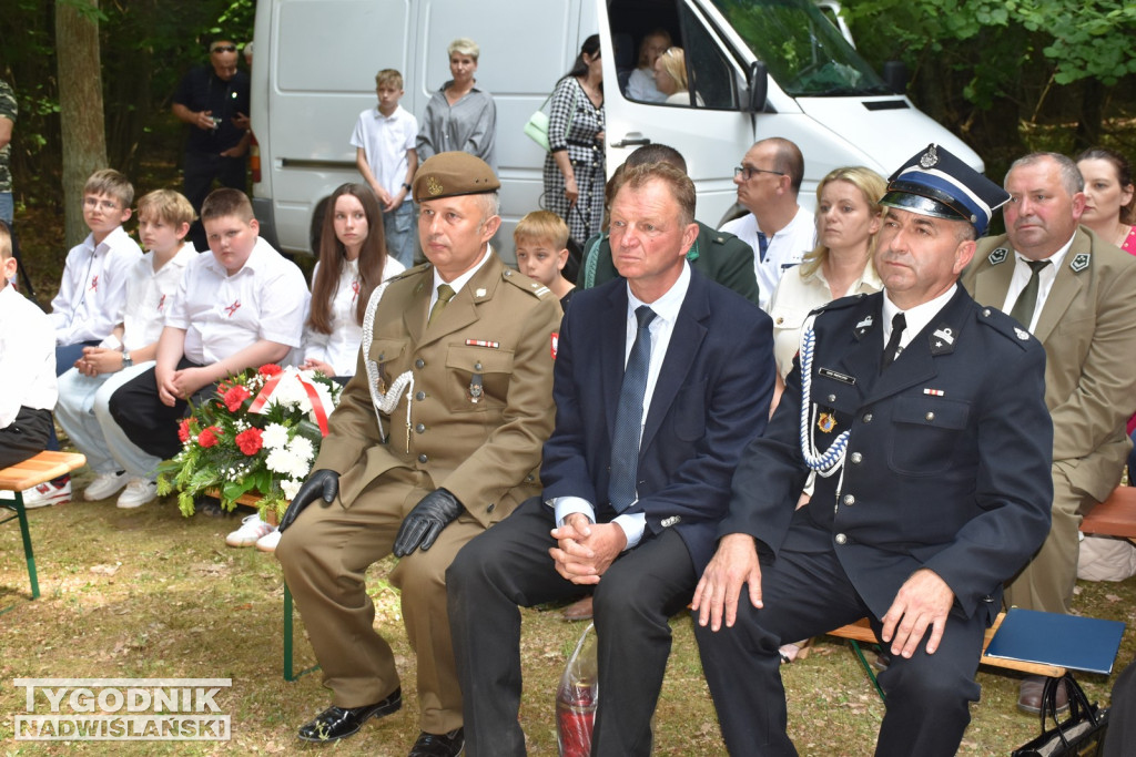 Uroczystości patriotyczne w Górach Wysokich