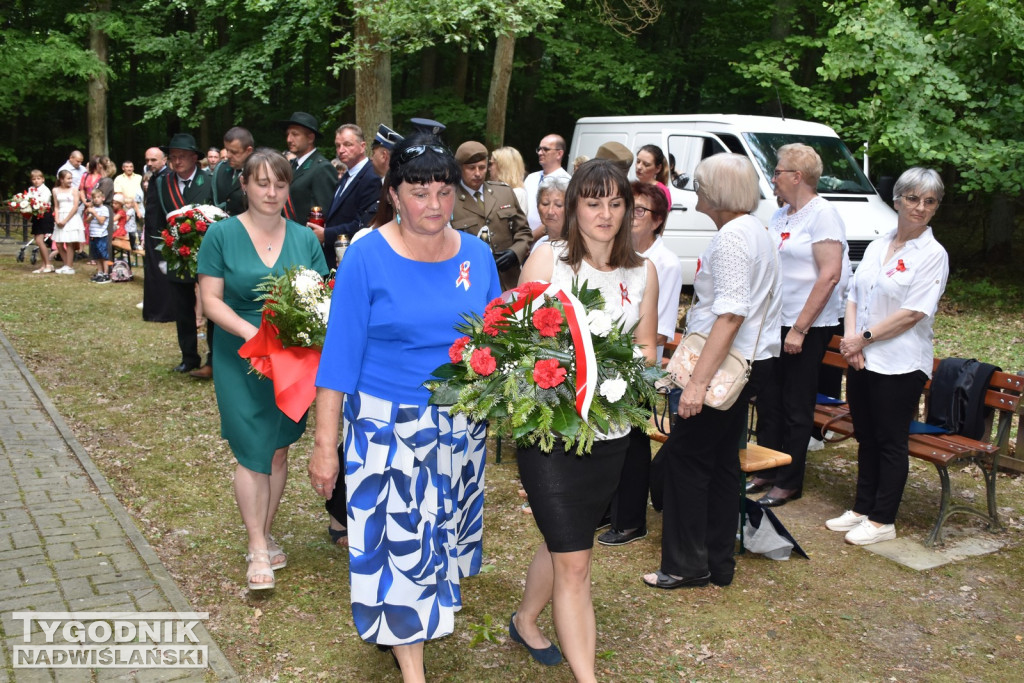 Uroczystości patriotyczne w Górach Wysokich