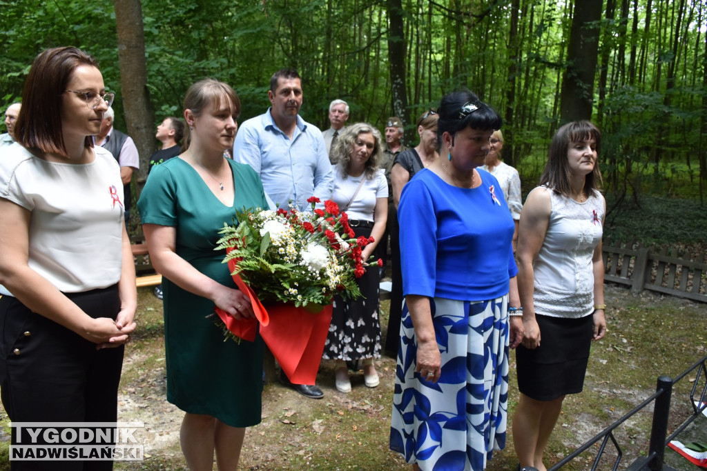 Uroczystości patriotyczne w Górach Wysokich